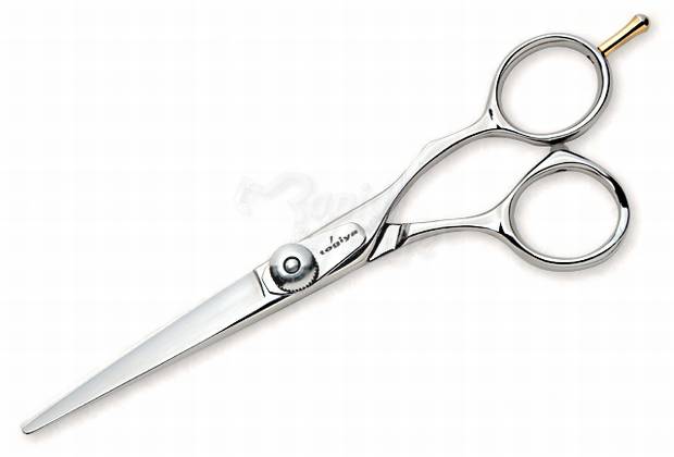 Togiya DCP 50, 55 or 60 $895